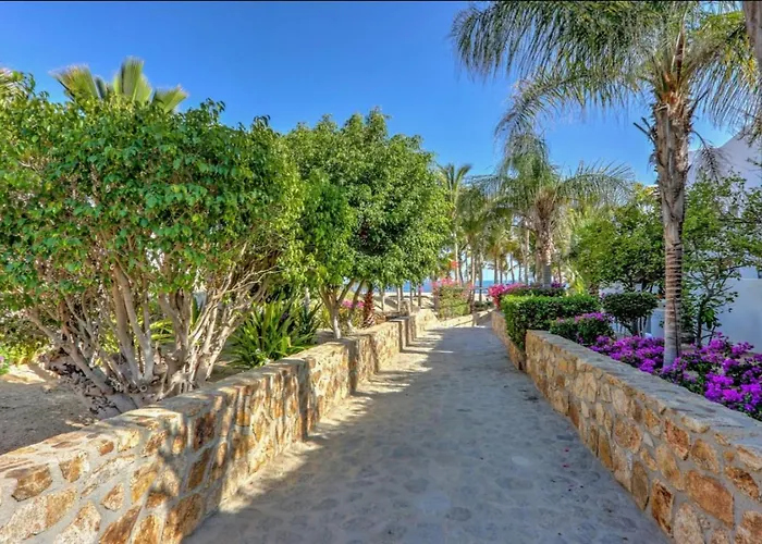 Ocean View, 2 Infinity Pools, Pedregal, Walkable Holiday home *